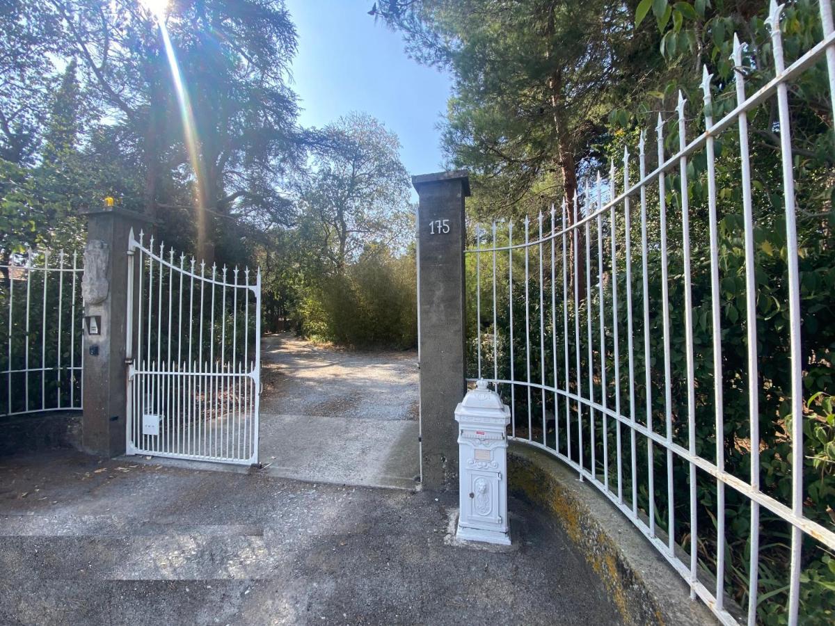 Villa Chez Papy Charles Carcassonne Esterno foto